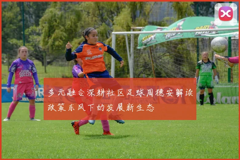 多元融合深耕社区足球周穗安解读政策东风下的发展新生态